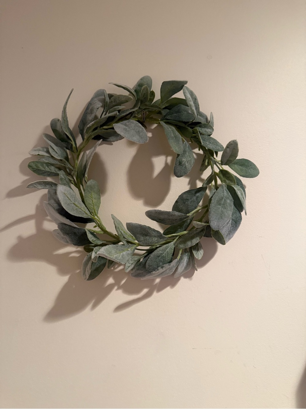 Lamb's Ear Green Holiday Wreath - Home Holiday